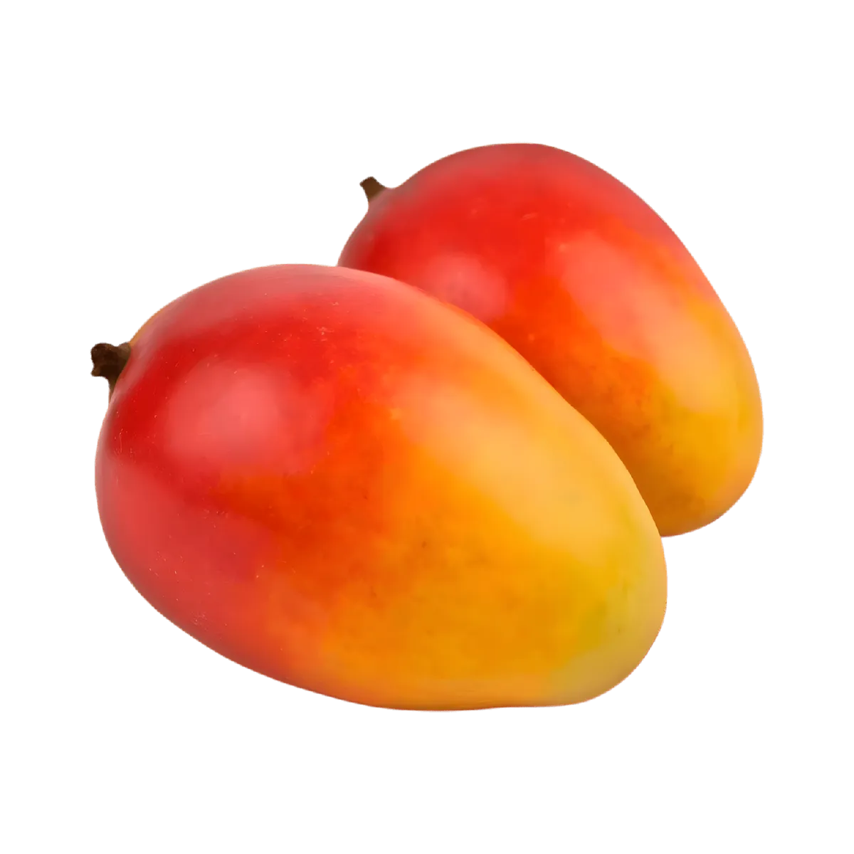 Deux mangues fraîches mûres aux couleurs rouge et jaune, ingrédient principal du nectar de mangue MONTPELÉ à la saveur exotique.